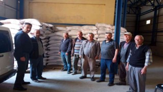 Sinoplu çiftçilere hibe destekli çeltik tohumu dağıtıldı