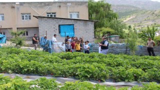 Şırnakta faaliyete giren projelerle ailelerin ekonomisine katkı sağlanıyor