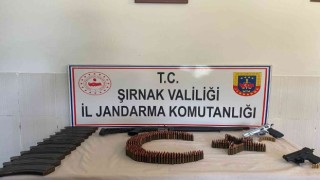 Şırnakta kaçakçılık ve asayiş operasyonu: 49 gözaltı
