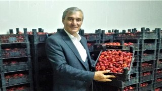 Sivaslıda belediyeden kadınlara iş imkanı