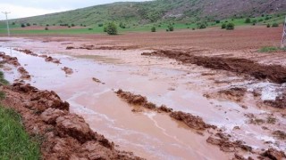 Sivasta etkili olan dolu tarım arazilerine zarar verdi
