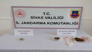 Sivasta narkotik köpekli şafak operasyonu