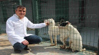 Sokak hayvanlarını sahiplenme çağrısı
