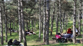 Sultangazi Şehir Ormanlarında piknik mevsimi başladı