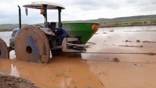 Sungurluda çeltik ekimi başladı