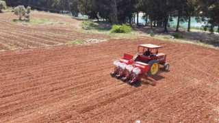 Tarsus Belediyesinden hayvan besicilerine silajlık mısır desteği