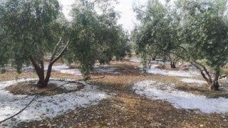 Tarsusta dolu ve fırtına etkili oldu