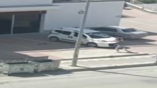 Tartıştığı iş yeri sahibinin arabasını sopa ile paramparça etti