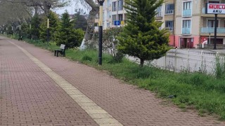 Tartıştığı şahsı pompalı tüfekle yaraladı