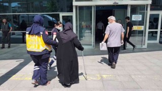 Tedavi sırasında vücudunda kene olduğu fark edildi