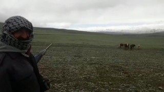 Tekmanda Mayıs ayında kar sürprizi