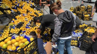 Tırdan yola onlarca kasa limon savruldu, sürücünün yardımına vatandaşlar koştu