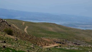 Tuncelide mera otlatma 15 Haziranda başlıyor
