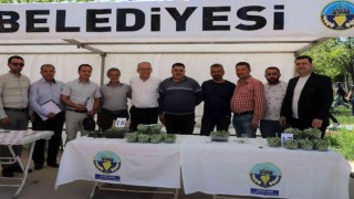Turgutluda ‘En Güzel Erik Yarışması düzenlendi