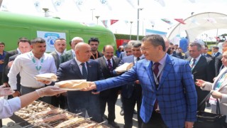 Türk balıkları ‘gardaş sofrasında: Baküde balık-ekmek şenliği