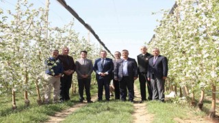 Türkiyenin en büyük elma üreticisi Hindistana açılıyor
