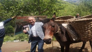 Türkiyenin Eşekli Dostoyevskisi Karadenizde