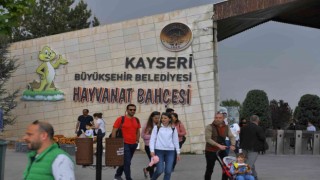 Ücretsiz hayvanat bahçesine yoğun ilgi