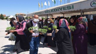 Ücretsiz olduğunu duyan koştu, 16 bin adet sebze fidesi dağıtıldı