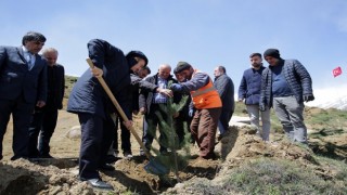 Vali Epcim, Yoncalı köyünde fidan dikim etkinliğine katıldı