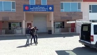 Vanda 8 organizatör tutuklandı