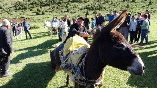 Vanda ‘Eşek Arabası yarışması