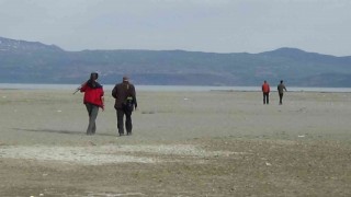 Vanda nesli tehlike altında olan kuş sayımı başladı