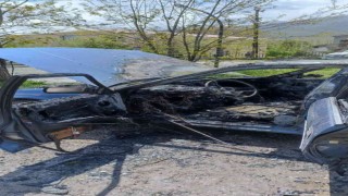 Vanda park halindeki otomobil alev alev yandı