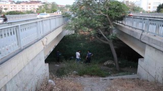 Viyadük altında erkek cesedi bulundu