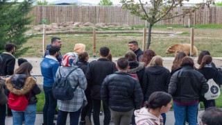 Yabancı öğrenciler hayvanat bahçesine hayran kaldı