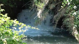 Yağışlar akarsuların su seviyesini yükseltti
