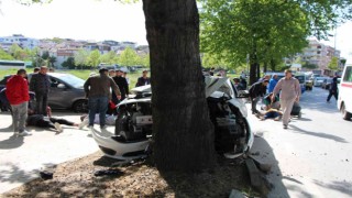 Yalovada kontrolden çıkan otomobil ağaca çarptı: 3 yaralı