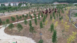 Yangının çıktığı eski enkaz döküm sahası yeşil alan dönüştü