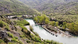 Yayla ama yüksekte değil, görenleri şaşırtıyor