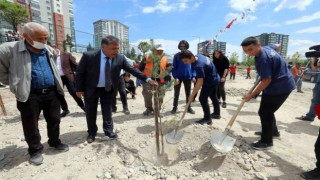 Yenimahallede 200 çam ve sedir dikildi