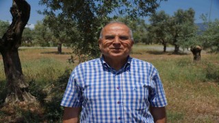 Yılanların dansı böyle görüntülendi