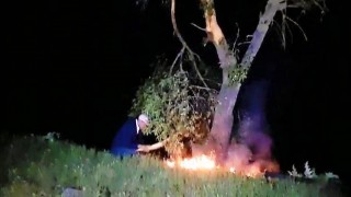 Yıldırım isabet eden ağaç alev aldı