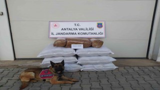 Yolcu otobüsünde 210 kilogram kaçak tütün ele geçirildi