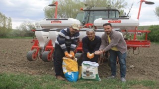 Yozgatta 5 çeşit kuru ve yeşil fasulye deneme ekimi yapıldı