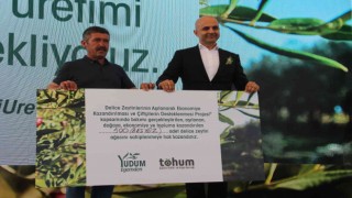 Yudum Egemden ve Tohum Derneği, yabani zeytin ağaçlarını ekonomiye kazandırıyor