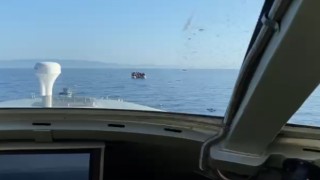 Yunanistan unsurlarının geri ittiği 41 düzensiz göçmen kurtarıldı