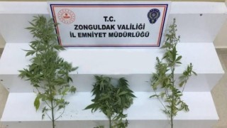 Zonguldakta uyuşturucu operasyonu: 1 şüpheli yakalandı