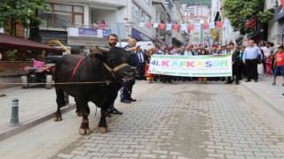 41. Kafkasör Festivali boğaların da katıldığı kortej yürüyüşüyle başladı