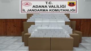 Adanada 260 bin makaron ele geçirildi
