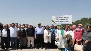 AK Parti Çorum teşkilatları fidan dikti