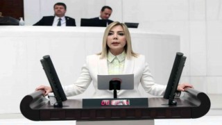 AK Partili Milletvekili Gökcan: “HDP şiddetin kendisidir”