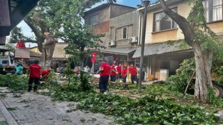 Akhisarda fırtına etkili oldu, ağaç devrildi, çatılar uçtu