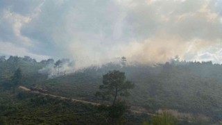 Akhisarda orman yangını, uçak ve helikopterler müdahale ediyor