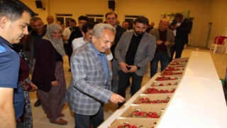 Akşehir Belediyesi Çilek Şenliğine yoğun ilgi