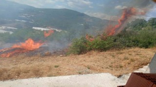 Alanyada tarım arazisinde başlayan yangında 10 dönüm zarar gördü